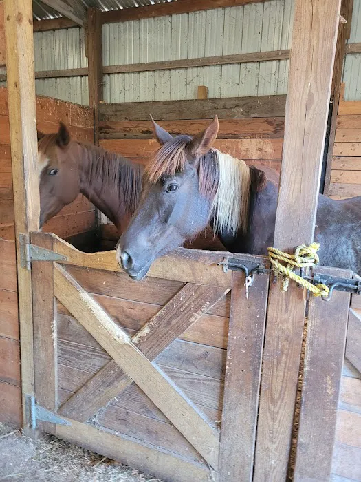 KLos Ranch 7