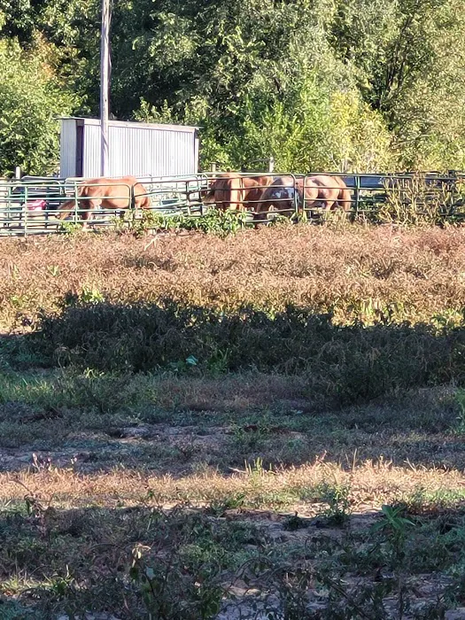 KLos Ranch 0