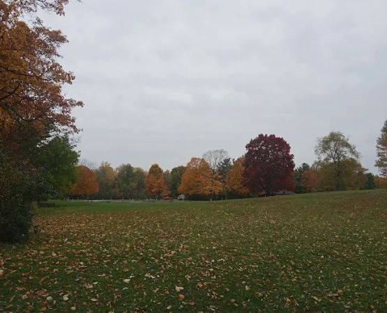 Potato Creek Campground