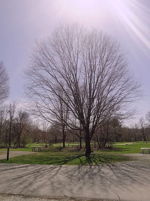 Potato Creek Campground 1
