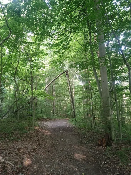 Potato Creek Campground 4