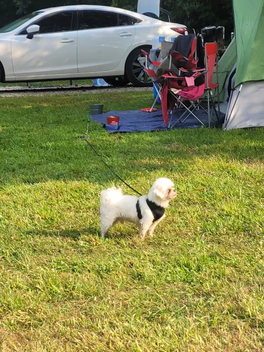 Potato Creek State Park Campground 2