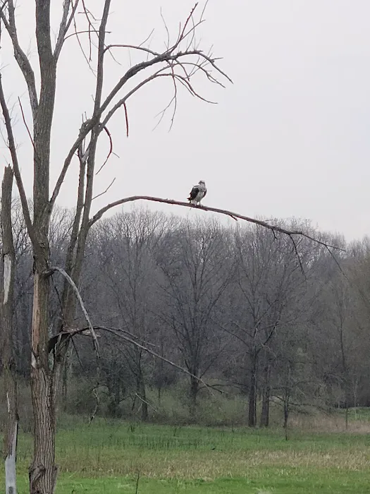 Potato Creek State Park Campground 6