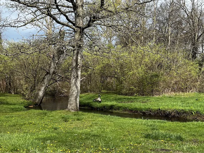 Spaulding Lake Campground 0