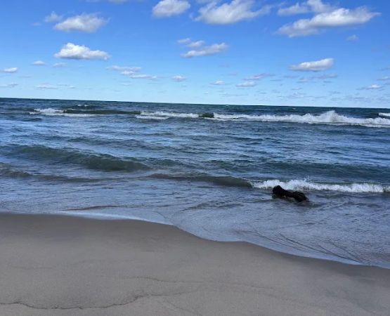 Warren Dunes Organizational Campground