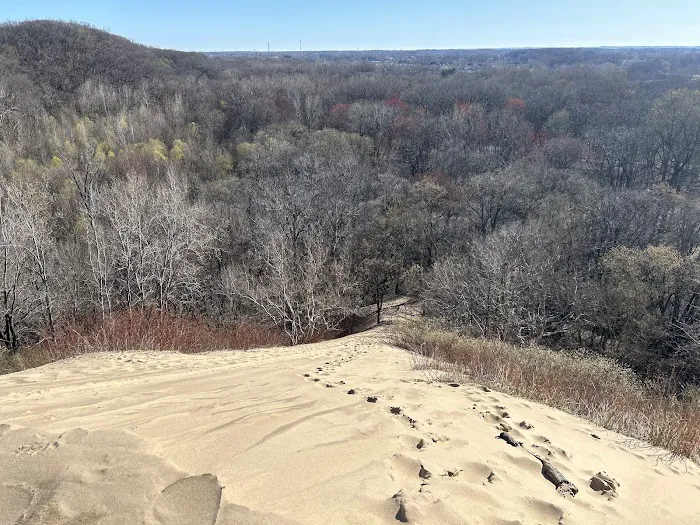 Warren Dunes Organizational Campground 5