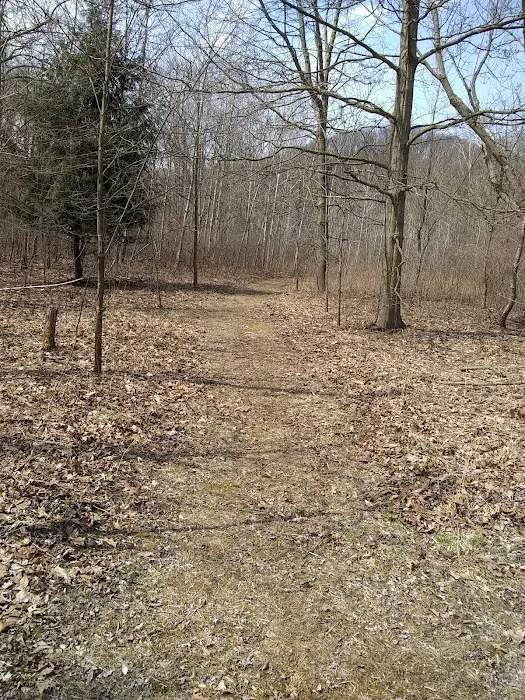 Warren Dunes Organizational Campground 6