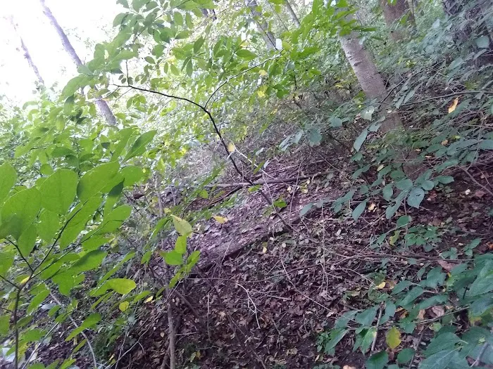 Redbud Trail Retreat 8