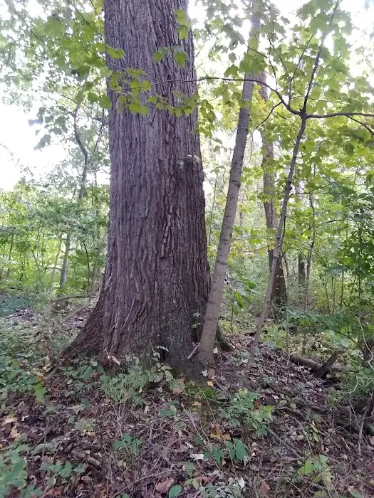 Redbud Trail Retreat 5