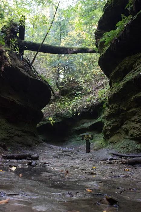 Turkey Run Canoe & Camping 4