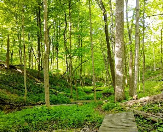 Rockville Lake Park