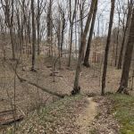 Raccoon SRA Campground