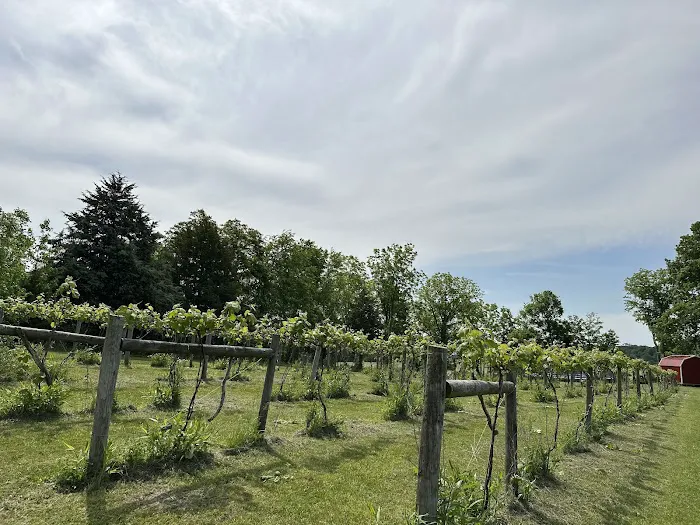 Fallen oak campground and vineyard llc 0
