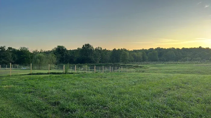 Fallen oak campground and vineyard llc 5