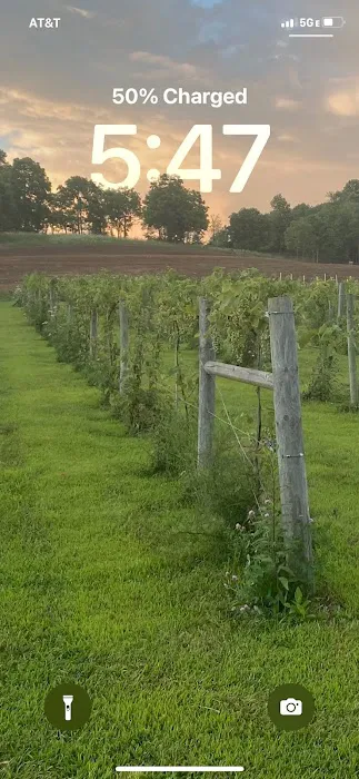 Fallen oak campground and vineyard llc 3