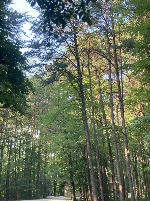 Poplar Grove Campground 5