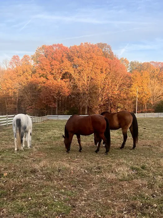 SILVER FEATHER ACRES 8