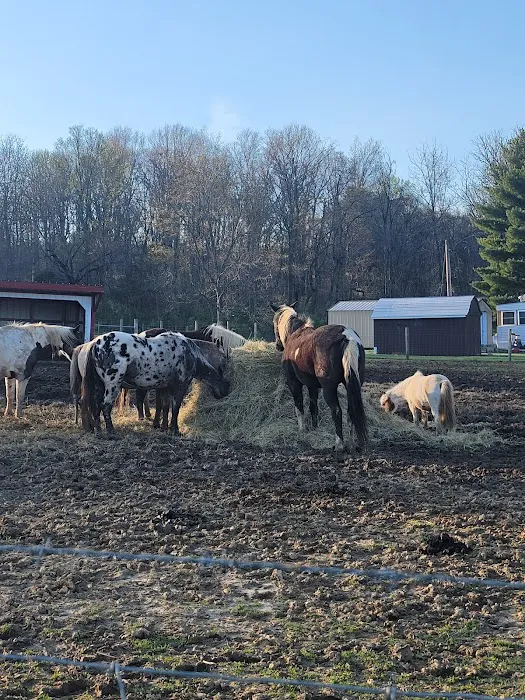SILVER FEATHER ACRES 0