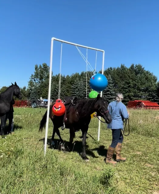 Geitner Homestead Equine Campground 5