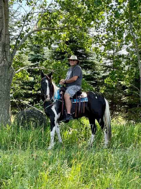 Geitner Homestead Equine Campground 0