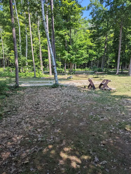 Group Campsite D 0