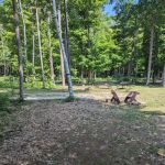 Group Campsite D