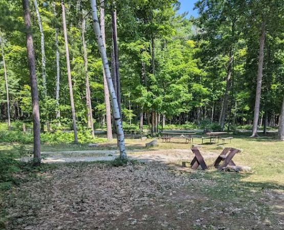 Group Campsite D