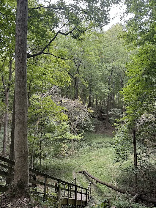 Camp Cullom 3