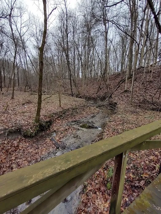 Camp Cullom 1