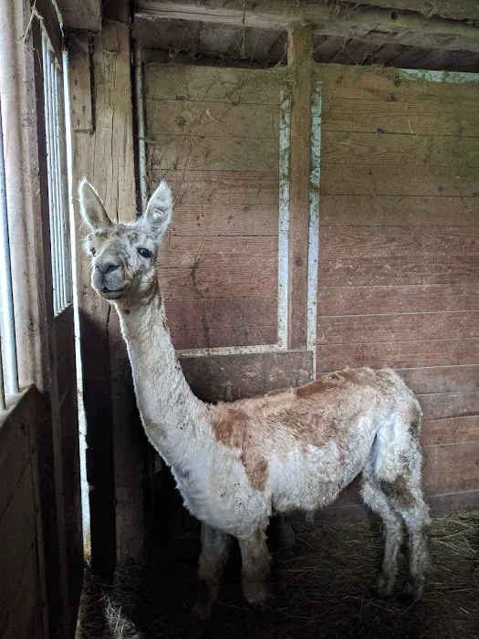 Heritage Farm Stay Adventure 5