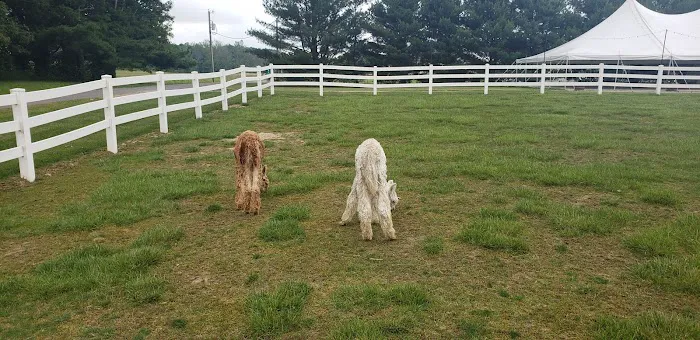 Heritage Farm Stay Adventure 4