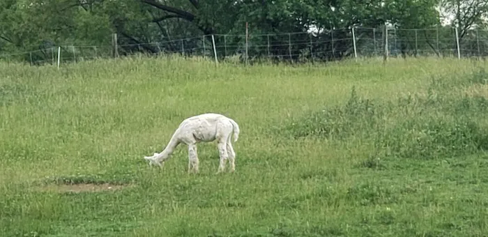 Heritage Farm Stay Adventure 1