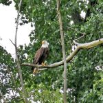 River Bend Campground