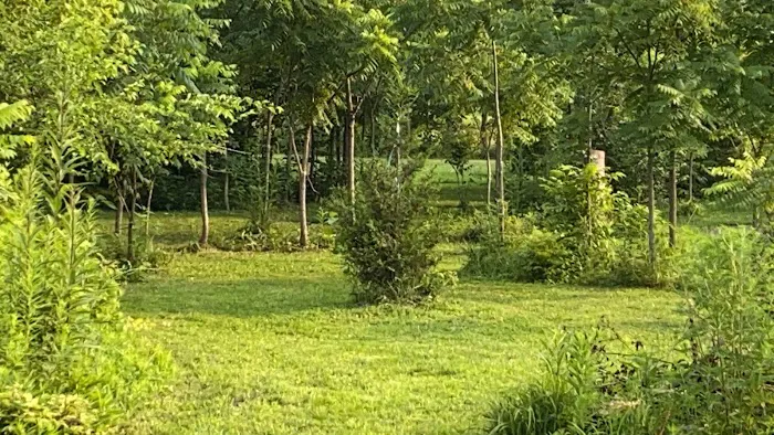 Mud Creek Campgrounds 0