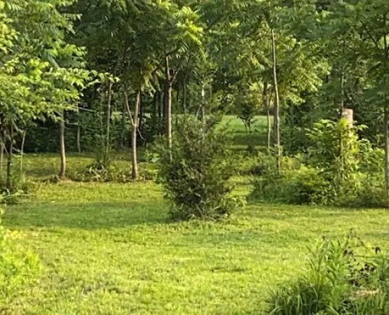 Mud Creek Campgrounds