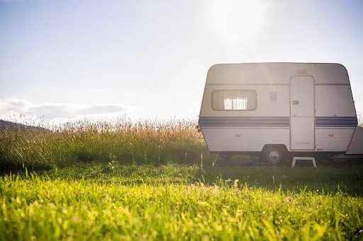 GloWood Campground 1