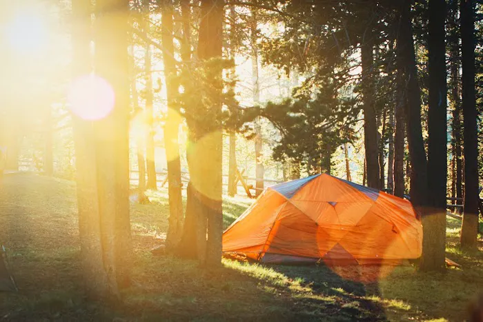 GloWood Campground 6