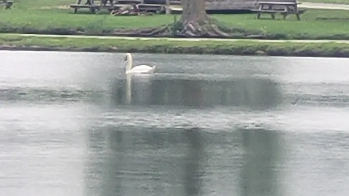 Mystic Waters Campground 4
