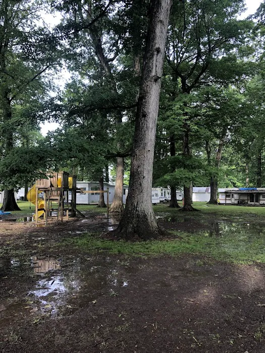 Woodland Family Camp 3