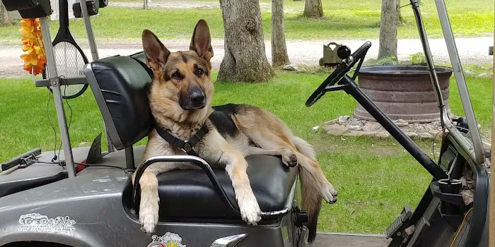 Hickory Hills Campground 8