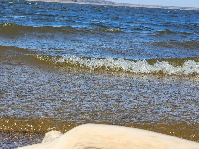 Oak Grove Beach 0
