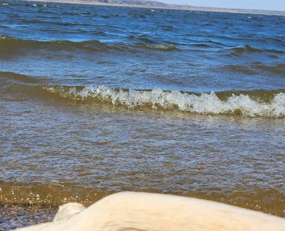 Oak Grove Beach