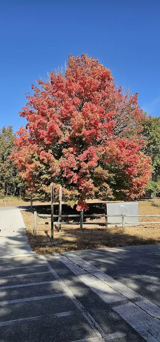 Camp Hoffmann 8