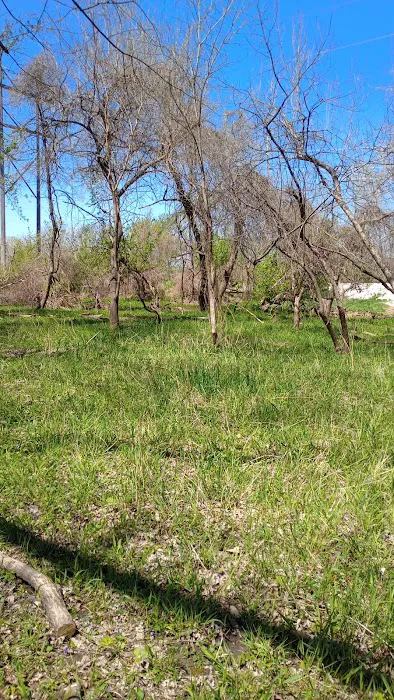 Raccoon river annex shangra la 3