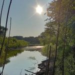 Raccoon river annex shangra la