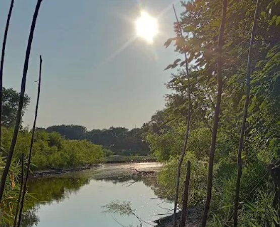 Raccoon river annex shangra la
