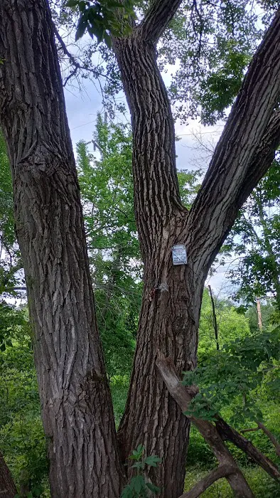 Raccoon river annex shangra la 9