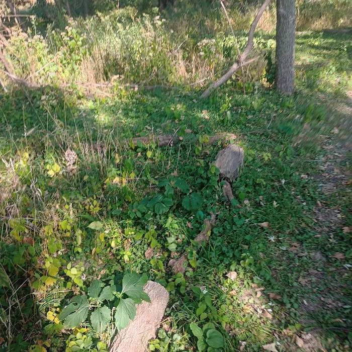 Raccoon river annex shangra la 5