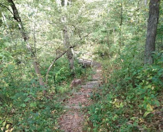 Ashton-Wildwood Campground