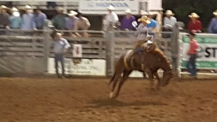 Dallas County Fair Campgrounds 0